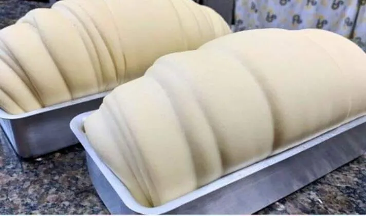 Pão Caseiro que Cresce como um Milagre em Minutos